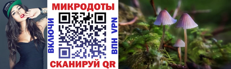 кракен ссылки Спасск Галлюциногенные грибы Cubensis